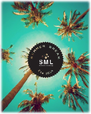 SML-summer break 2014